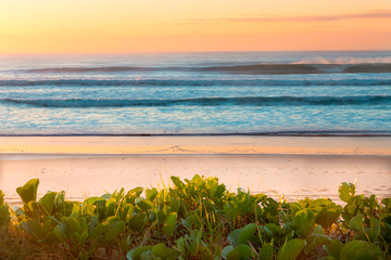Main Beach Gold Coast