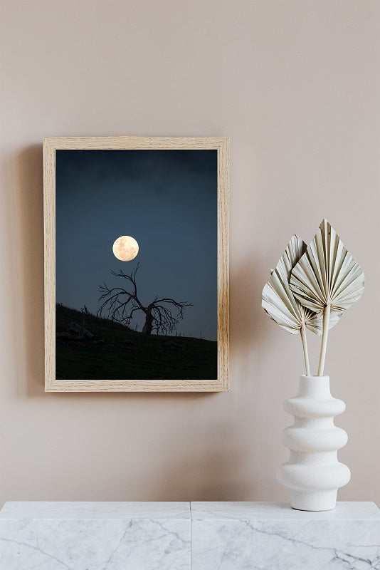 Midlands Moonrise