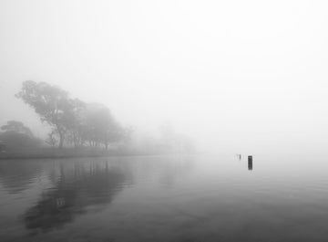 Misty Lake