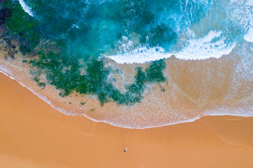 Mona Vale Surfer