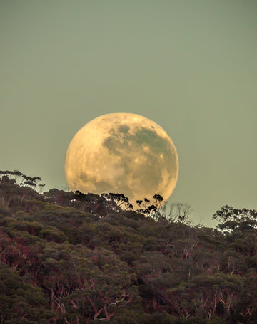 Moon Set
