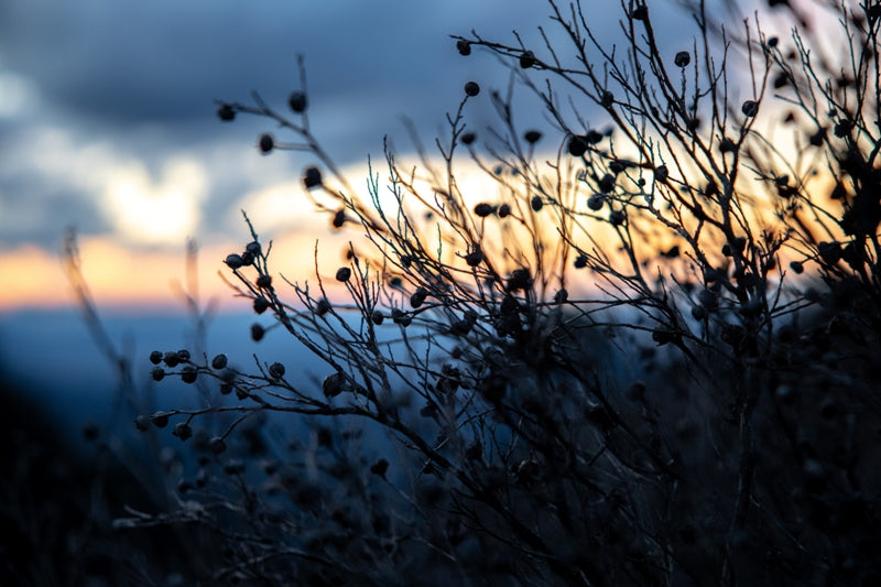 Mount Barney Sundown