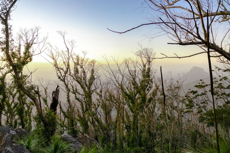 Mount Barney Sunrise