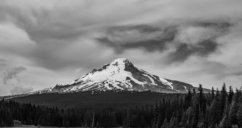 Mt. Hood