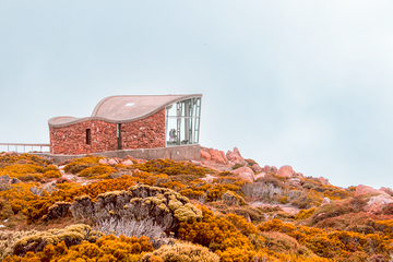 Mt Wellington