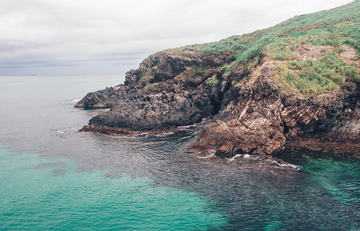 Muttonbird Island