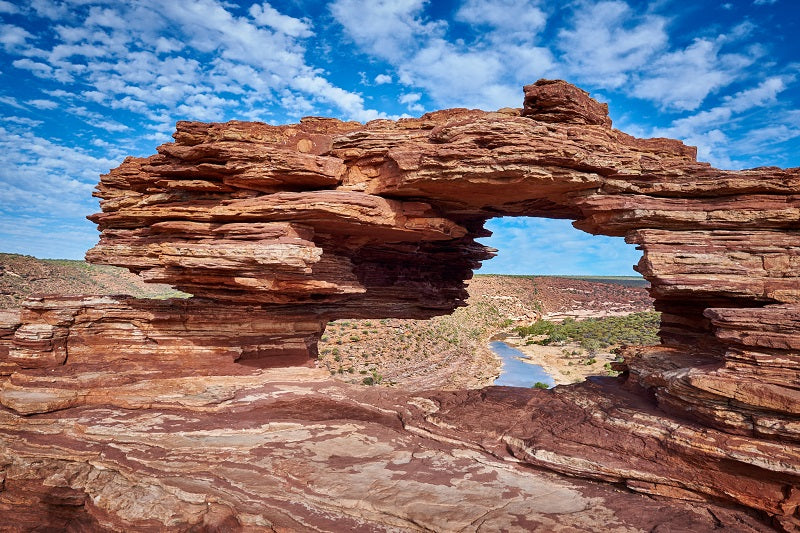 Natures Window