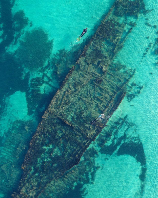 Omeo dive wreck - Coogee