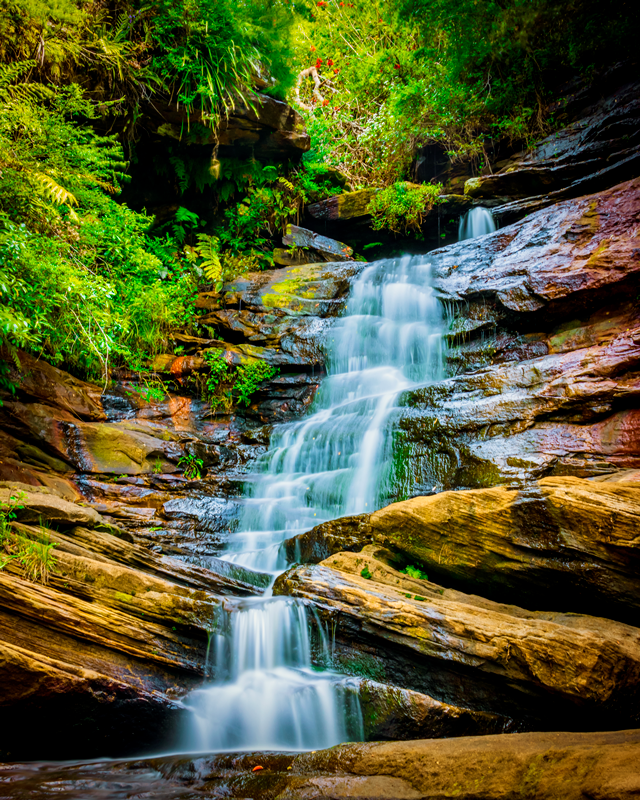 Oxford Falls, NSW.