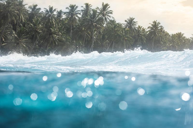 Paradise