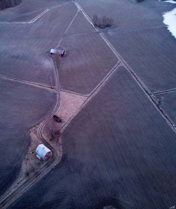 Peaceful Fields