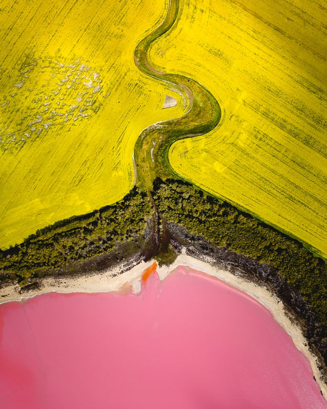 Pink Lake topdown in Australia