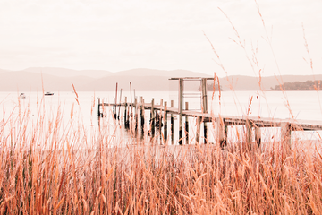 Port Arthur Reeds