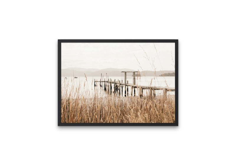 Port Arthur Reeds