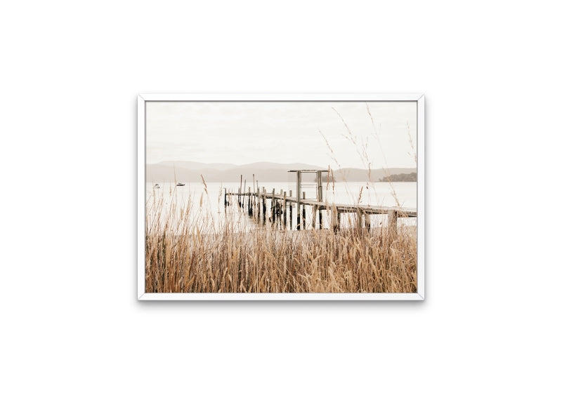 Port Arthur Reeds