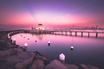 Purple Haze