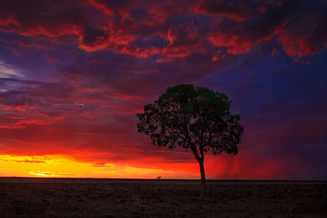 Red Outback Sunset