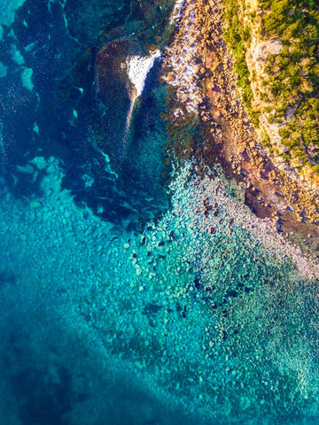 Reef Clarity