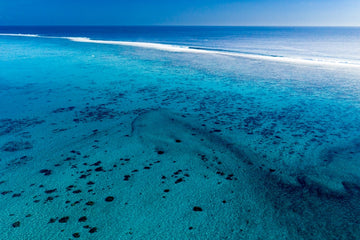 South Pacific Shallows