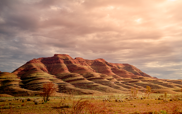 Road to Wittenoom