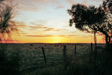 Rural living