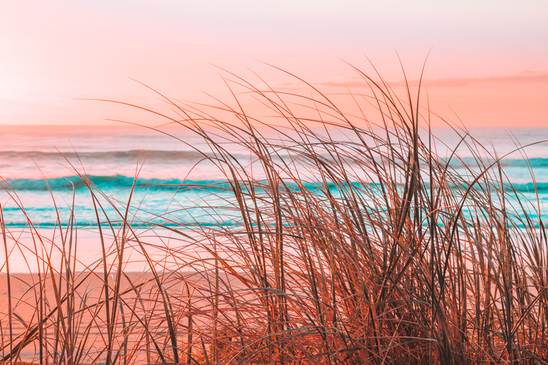 Sea Grass