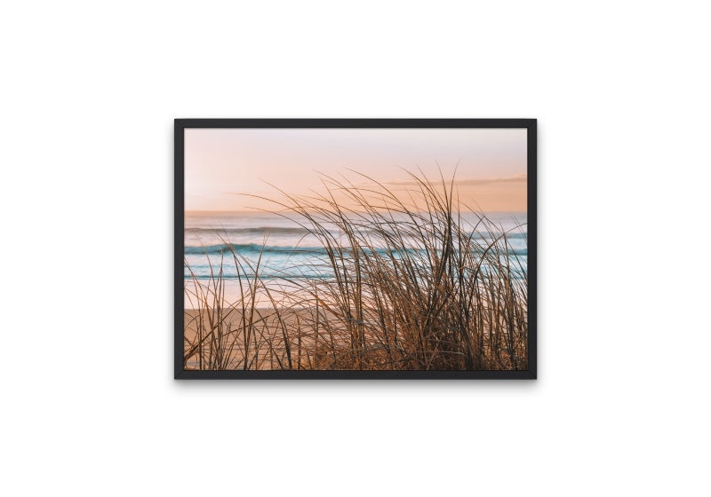 Sea Grass