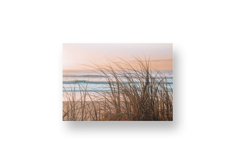 Sea Grass