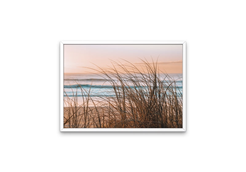 Sea Grass