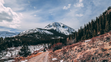 Seasons Change