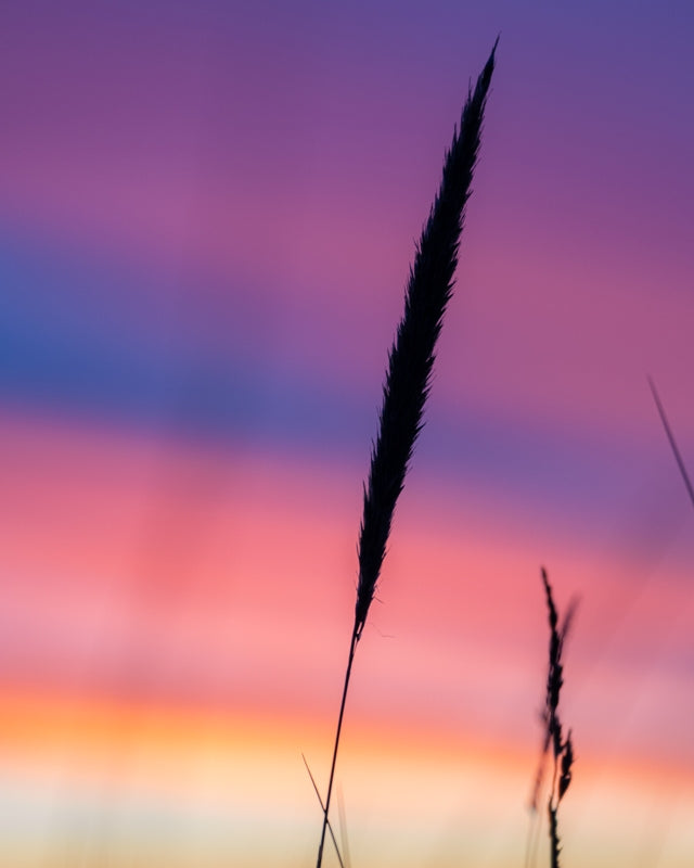 Simplicity sunset colours