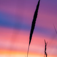 Simplicity sunset colours