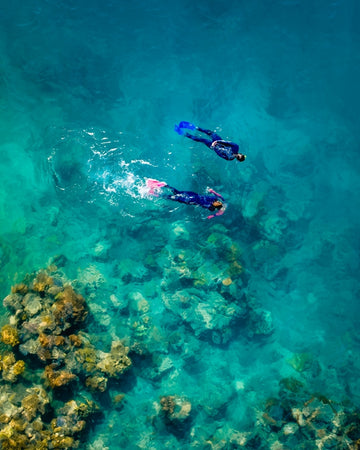 Snorkeling Great Barrier Reef in Australia