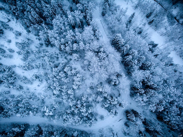 Snowy Road
