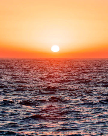 South Curl Curl Sunrise