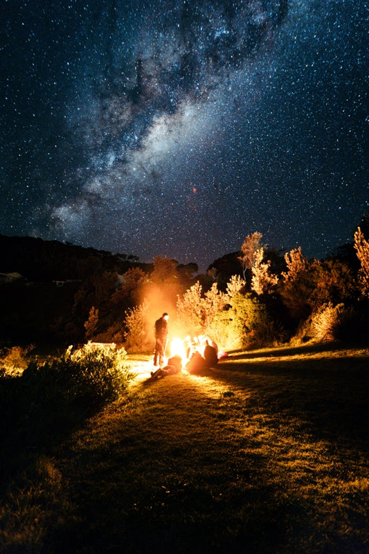 Starry Nights At Seals