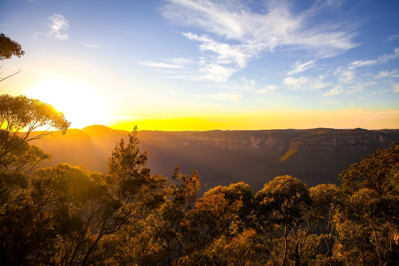 Sunrise in the Blue Mountains