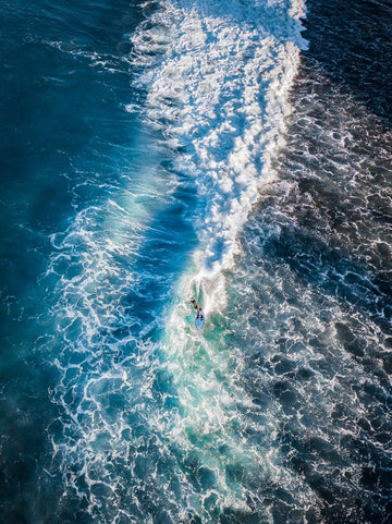 Surfer 2