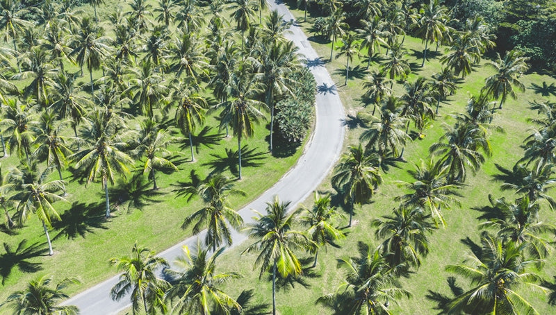 THALA BEACH | ROAD TO PARADISE