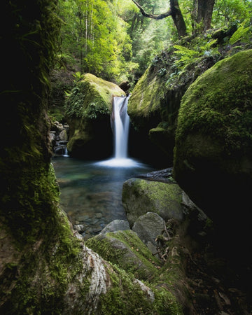 Tranquil Tassie