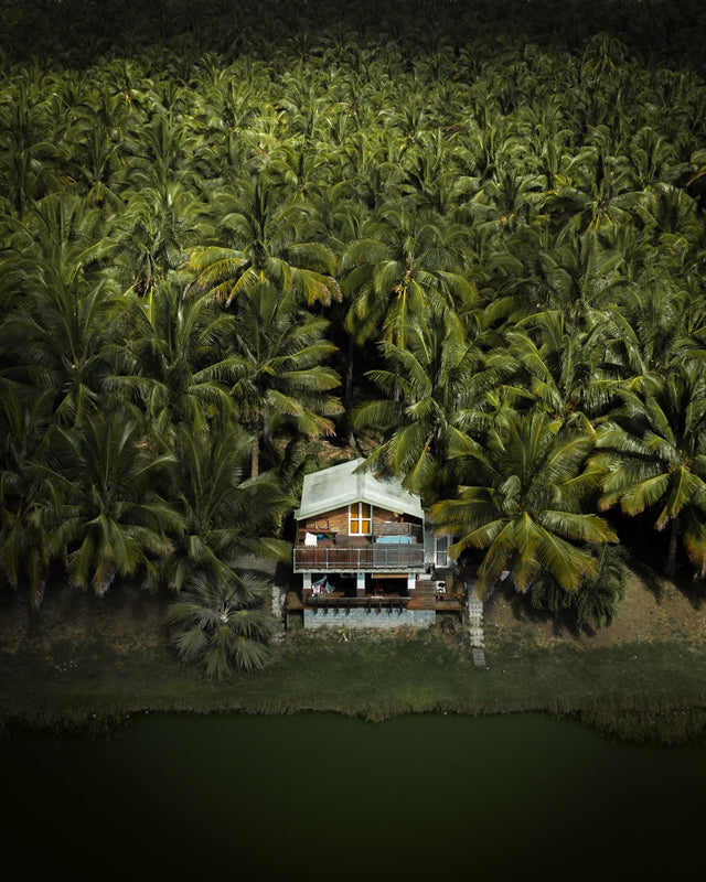 TREEHOUSE SURROUNDED WITH PALMS