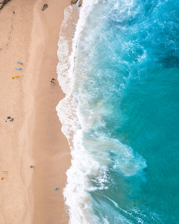 Tamarama