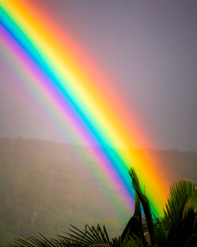 The Rainbows End