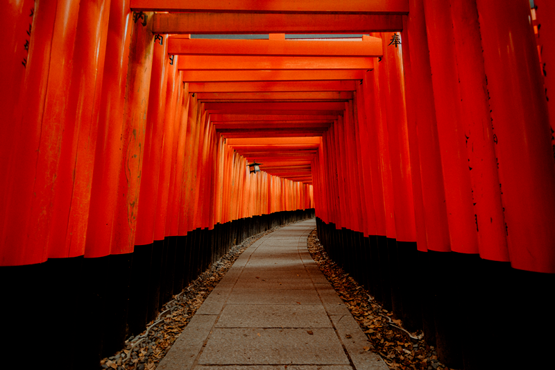 The Red Gates of Japan