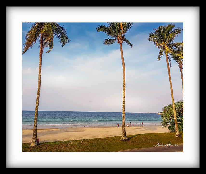 Tree on the Beach 3