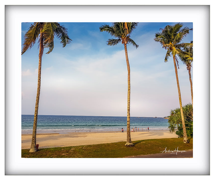 Tree on the Beach 3