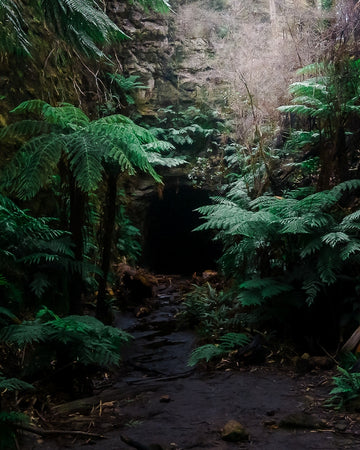 Tunnel vision