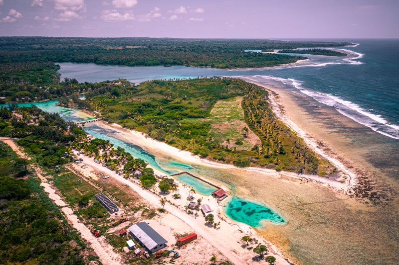 Turtle Bay