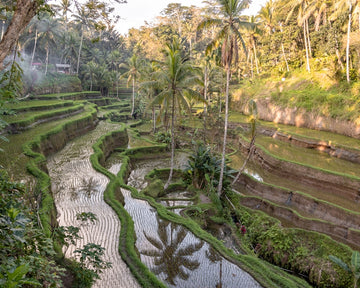 Ubud