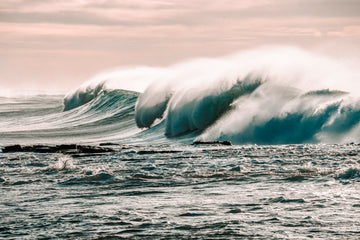 NTH NARRABEEN | WILD SEA